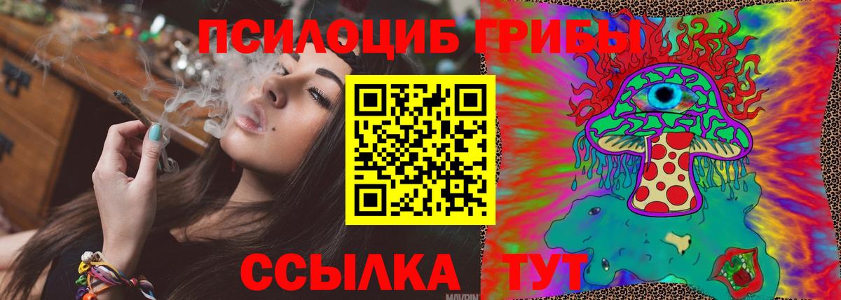 Холмск  Псилоцибиновые грибы MAGIC MUSHROOMS  Вход с VPN 
